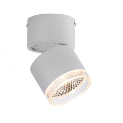 Spot Nola Blanc Led Puissant Et Dimmable MILLUMINE