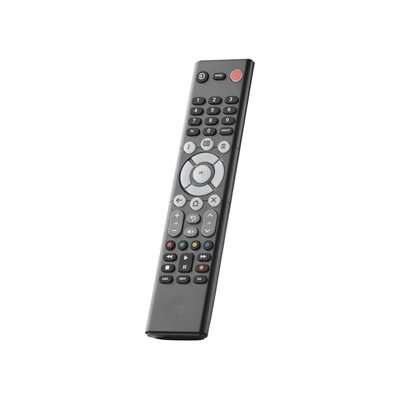 Télécommande Universelle TV ONE FOR ALL