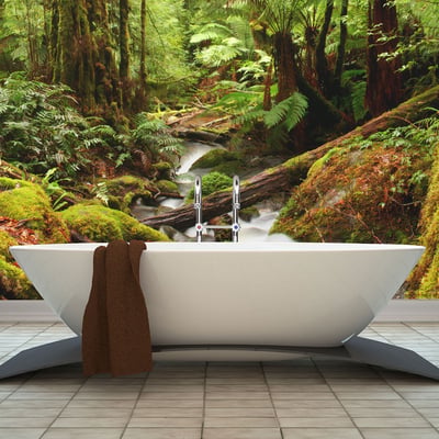 Papier peint intissé panoramique Paysage Forêt tropicale EDEN