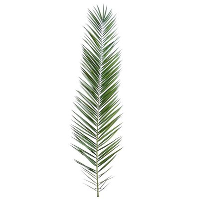 Feuille de palmier Phoenix artificielle ARTIFICIELLES