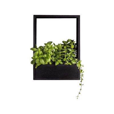 Cadre mural en fer pour plantes Garden 36 x 18 x 50 cm JARDINDECO