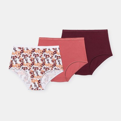 3er-Pack Maxi-Slips aus Bio-Baumwolle PLAYTEX