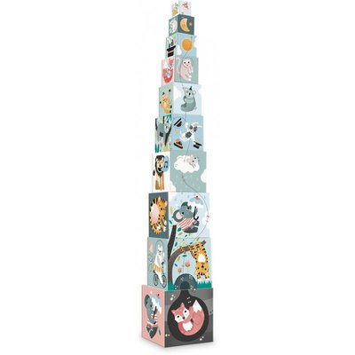 Cubes gigognes les animaux michelle carlslund VILAC