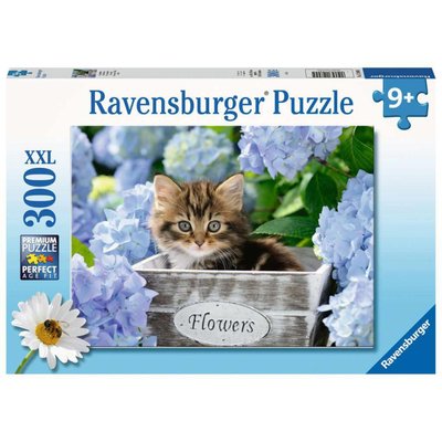 Puzzle 300 pièces XXL - Petit chaton RAVENSBURGER