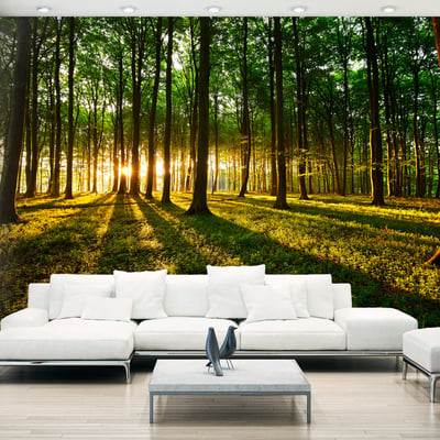 Papier peint intissé panoramique Paysage Mystical Morning EDEN