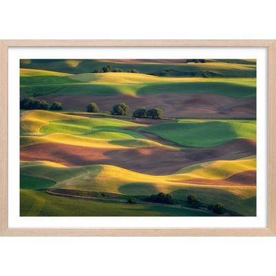 Affiche Colline colorée HEXOA