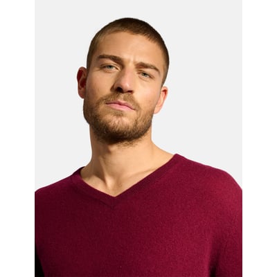Pull Col V  Bordeaux Walt JUST CASHMERE
