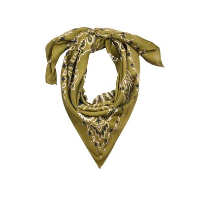 Foulard medium à motifs PAISLEY WILD