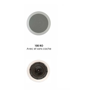 DAVIS Enceinte encastrable 100 RO