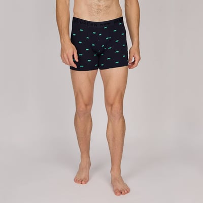 Boxer Adriel MISE AU GREEN
