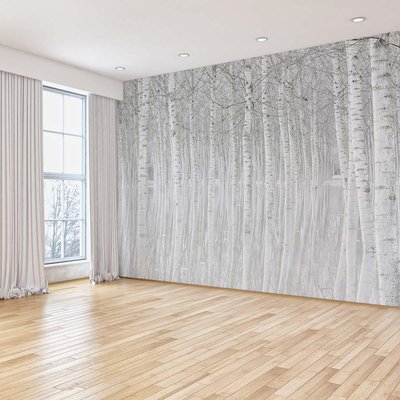 Papier peint panoramique foret de bouleaux HEXOA