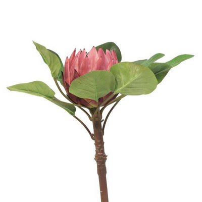 Protea artificielle, spéciale grande taill ARTIFICIELLES