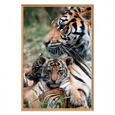Tableau mural mat encadré mum & baby tiger CEANOTHE