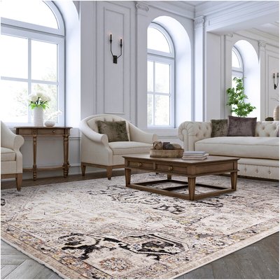 Antique Style Medallion Rug ÉDITÉ