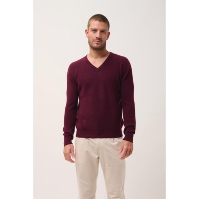 Pull Col V  Mûre Mevron JUST CASHMERE