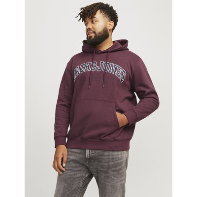 Sweat à capuche JACK & JONES JACK & JONES