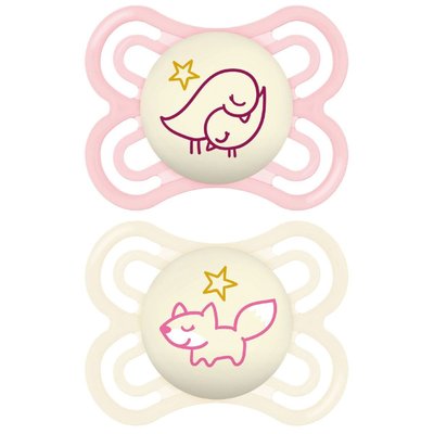 Lot de 2 sucettes Perfect nuit tendance 2-6 mois MAM