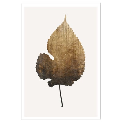 Poster sauvage dorée HEXOA