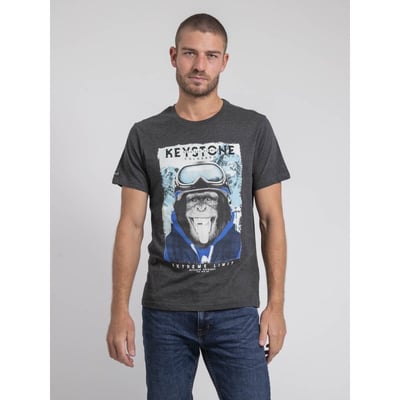 T-shirt Col Rond Pur Coton Jacoski RITCHIE