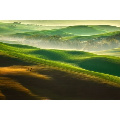 Tableau nature collines brumeuses HEXOA