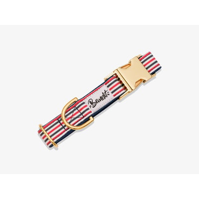 Collier pour chien THE FRENCH BANBAN FRENCH BANDIT