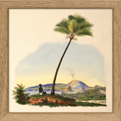 Mini tableau palmier  Palm and Man THE DYBDAHL CO