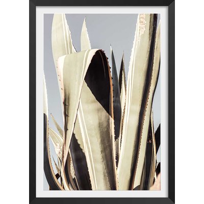 Poster cactus mexicain HEXOA