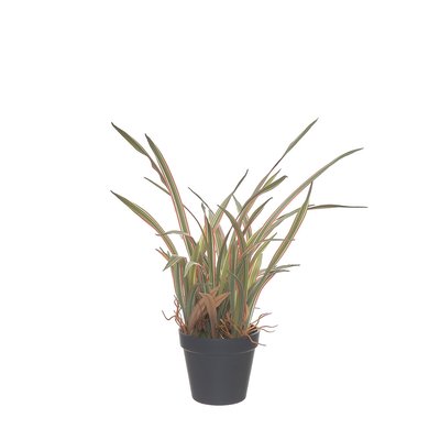Planta artificial "Spider" 44cm, BORGHESI BORGHESI