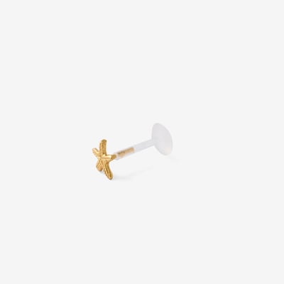 Piercing helix/tragus étoile de mer en argent garanti doré BALABOOSTE