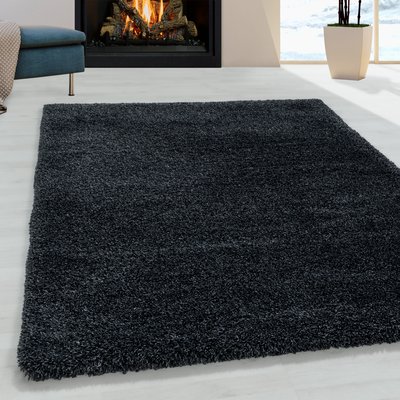 Tapis de salon shaggy  FLUFFY NAZAR RUGS