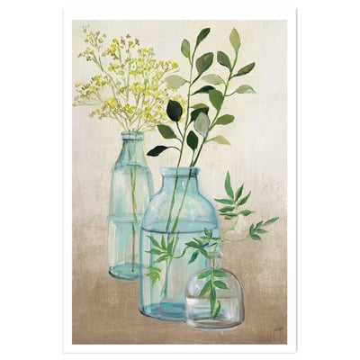 Poster Fleurs médicinales HEXOA