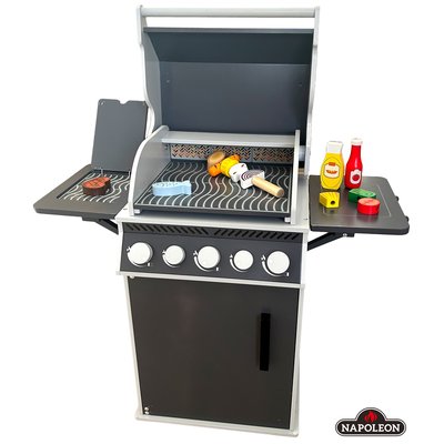 NAPOLEON Barbecue avec accessoires TANNER