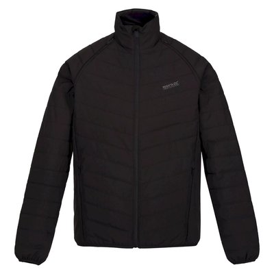 Veste matelassée BENNICK REGATTA