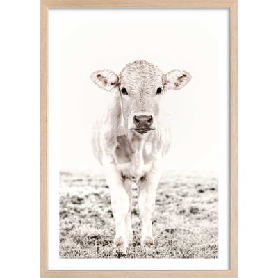Affiche enfant veau HEXOA