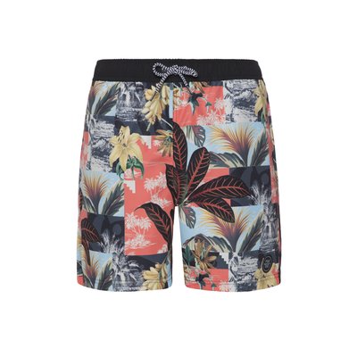 Beachshort PRTLOCKLAN PROTEST
