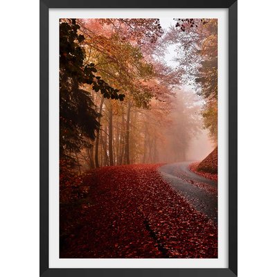 Affiche nature explosion automnale HEXOA
