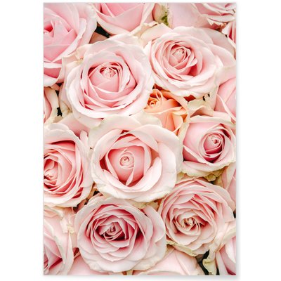 Poster Nature Roses L'AFFICHERIE