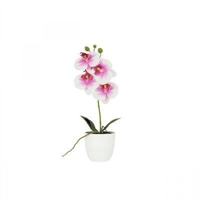 Orchidée artificielle blanc-fuchsia 35cm LIGNE DECO