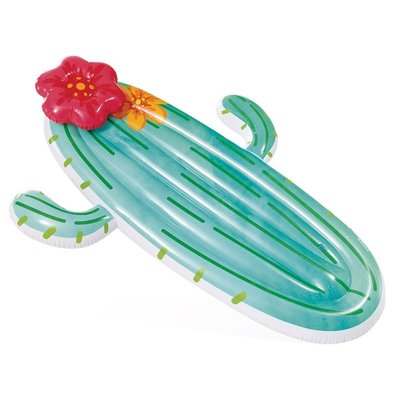Matelas gonflable  Cactus INTEX