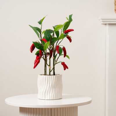 49cm Artificial Chilli Plant in Ceramic Pot SO'HOME