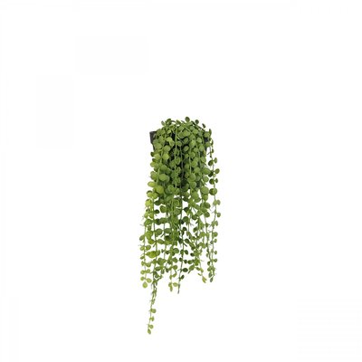 Plante succulente retombante artificielle 40cm LIGNE DECO
