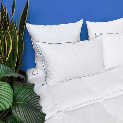 Oreiller MEDIUM 40% Duvet - coton Bio - Lupin WAKE ME GREEN