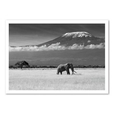 Affiche d’art et cadre noir 30 x 40 cm - Lost Colors II - ibrahim  Canakci WALL EDITIONS