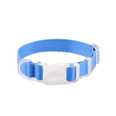 Collier pour chien, ONA CAFIDE