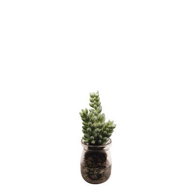 Succulente sedum en pot artificielle H13 SIA DECO