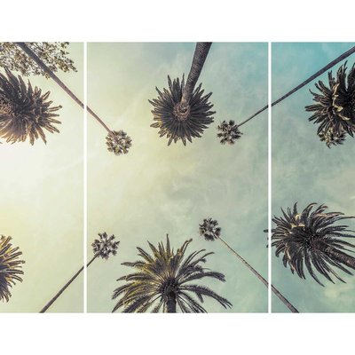 Triptyque sur toile palmiers 125x97 cm CEANOTHE