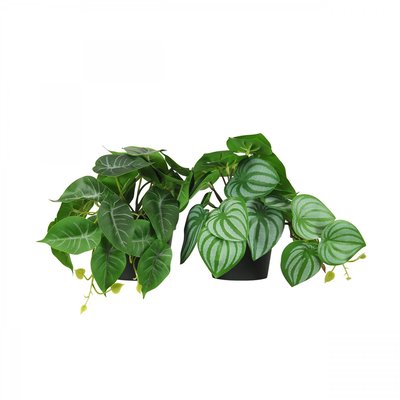 Plante artificielle tombante 18cm lot de 2 LIGNE DECO