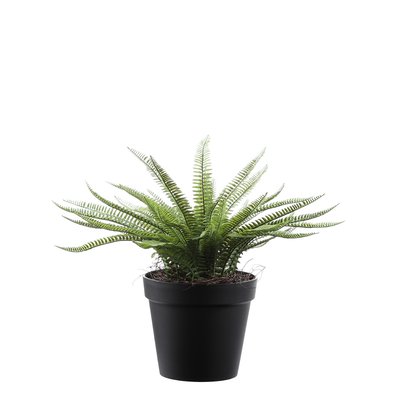 Arbuste fougère artificielle en pot H43 SIA DECO