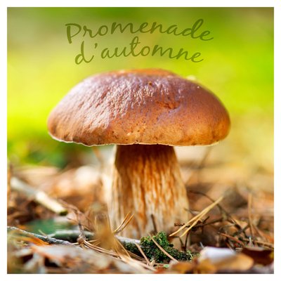Lot de 20 serviettes papier champignon DOUCEUR D'INTÉRIEUR