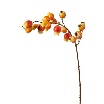 Branche d'églantier artificielle H90 SIA DECO